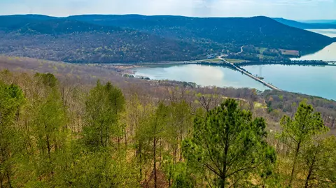 1085 Buck Crossing Dr, Guild, TN 37340 photo 5