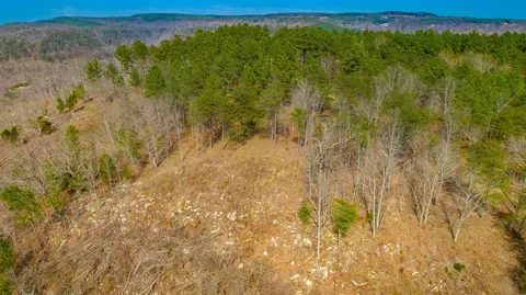1085 Buck Crossing Dr, Guild, TN 37340 photo 52