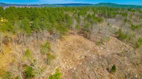 1085 Buck Crossing Dr, Guild, TN 37340 photo 44