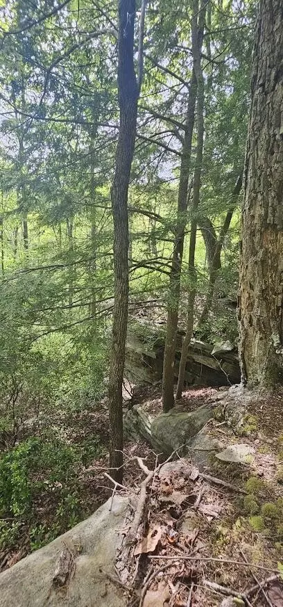 25 Stone Bridge Trl E, Dunlap, TN 37327 photo 7