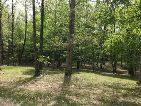 25 Stone Bridge Trl E, Dunlap, TN 37327 photo 11