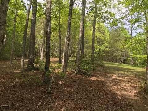 25 Stone Bridge Trl E, Dunlap, TN 37327 photo 29