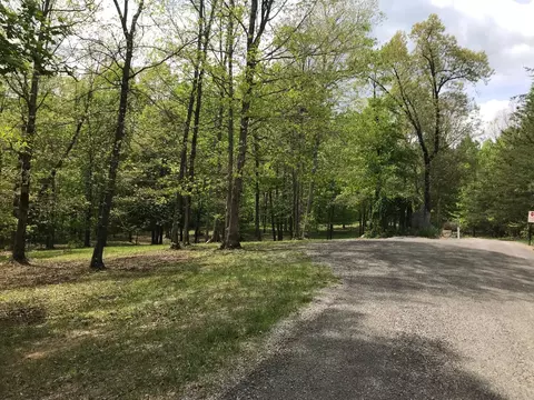 25 Stone Bridge Trl E, Dunlap, TN 37327 photo 43