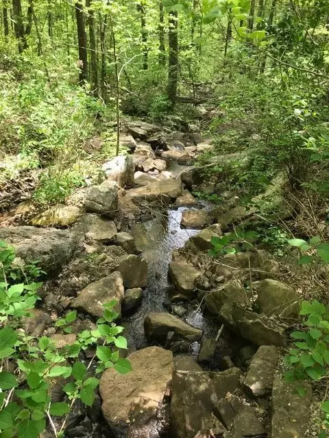 25 Stone Bridge Trl E, Dunlap, TN 37327 photo 22
