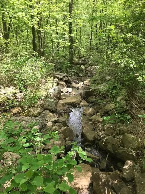 25 Stone Bridge Trl E, Dunlap, TN 37327 photo 4