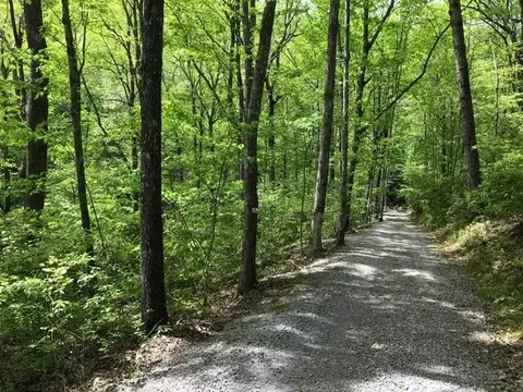 25 Stone Bridge Trl E, Dunlap, TN 37327 photo 18