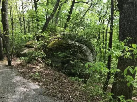 25 Stone Bridge Trl E, Dunlap, TN 37327 photo 17