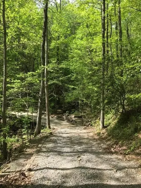 25 Stone Bridge Trl E, Dunlap, TN 37327 photo 19