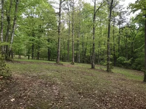 25 Stone Bridge Trl E, Dunlap, TN 37327 photo 25