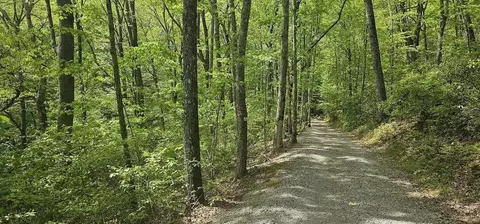 25 Stone Bridge Trl E, Dunlap, TN 37327 photo 6