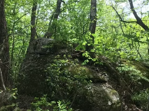 25 Stone Bridge Trl E, Dunlap, TN 37327 photo 16