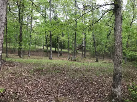 25 Stone Bridge Trl E, Dunlap, TN 37327 photo 31