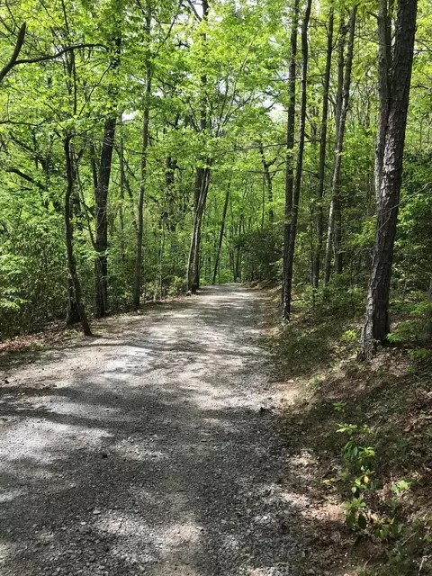 25 Stone Bridge Trl E, Dunlap, TN 37327 photo 14