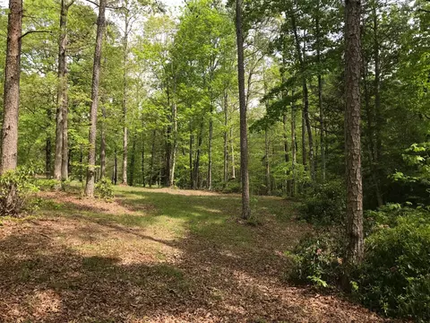 25 Stone Bridge Trl E, Dunlap, TN 37327 photo 30