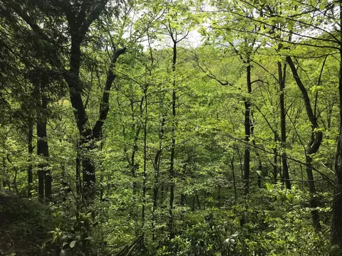 25 Stone Bridge Trl E, Dunlap, TN 37327 photo 28