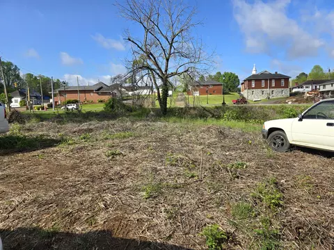 111 Douglas St, Copperhill, TN 37317