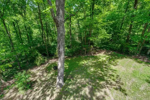 9239 Evening Shadow Dr, Chattanooga, TN 37421 photo 45