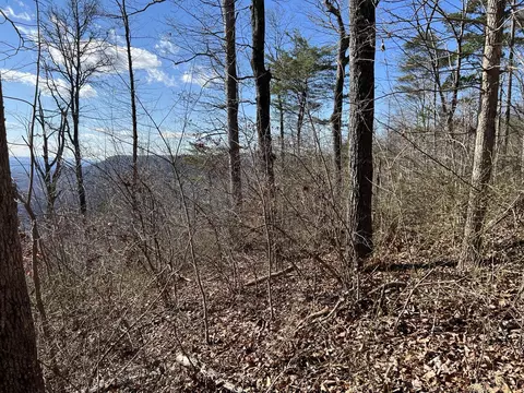 0 Dancing Fern Rd, Sequatchie, TN 37374 photo 3