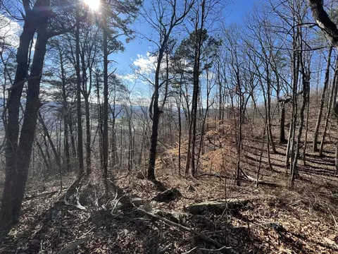 0 Dancing Fern Rd, Sequatchie, TN 37374 photo 7