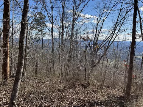 0 Dancing Fern Rd, Sequatchie, TN 37374 photo 2