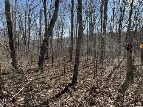 7 Deerhead Rd, Dunlap, TN 37327 photo 4