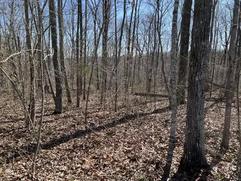 7 Deerhead Rd, Dunlap, TN 37327 photo 3