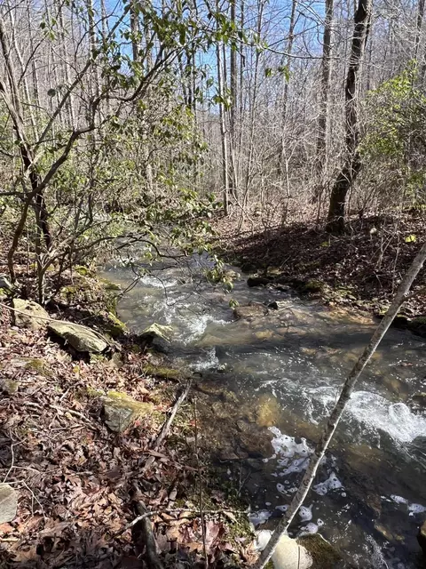 7 Deerhead Rd, Dunlap, TN 37327 photo 5