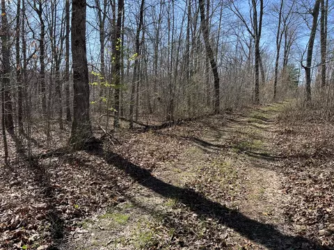 7 Deerhead Rd, Dunlap, TN 37327 photo 1