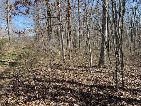 7 Deerhead Rd, Dunlap, TN 37327 photo 2