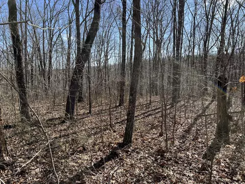 7 Deerhead Rd, Dunlap, TN 37327 photo 4