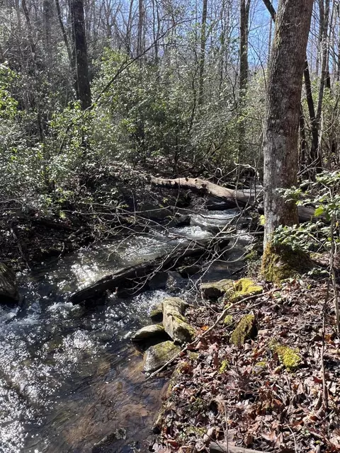 7 Deerhead Rd, Dunlap, TN 37327 photo 6