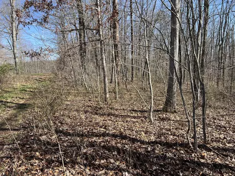 7 Deerhead Rd, Dunlap, TN 37327 photo 2