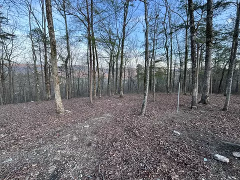 957 Hudlow Loop Rd, Dunlap, TN 37327 photo 15