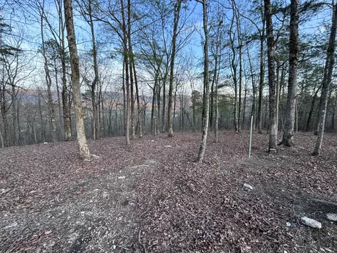 957 Hudlow Loop Rd, Dunlap, TN 37327 photo 15