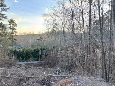 957 Hudlow Loop Rd, Dunlap, TN 37327 photo 20