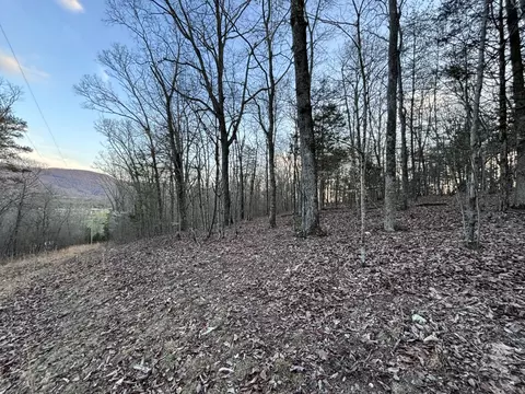 957 Hudlow Loop Rd, Dunlap, TN 37327 photo 16