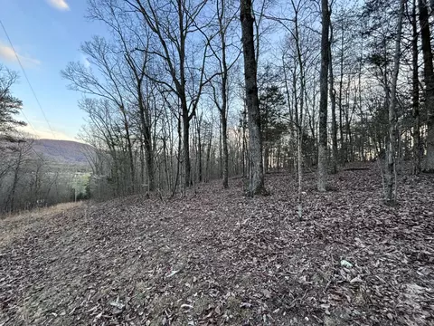 957 Hudlow Loop Rd, Dunlap, TN 37327 photo 16