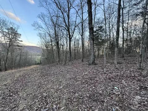 957 Hudlow Loop Rd, Dunlap, TN 37327 photo 14