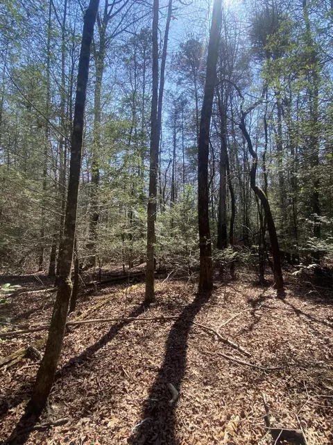 115 Sunshine Rd, Sequatchie, TN 37374 photo 26
