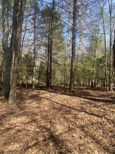 115 Sunshine Rd, Sequatchie, TN 37374 photo 5