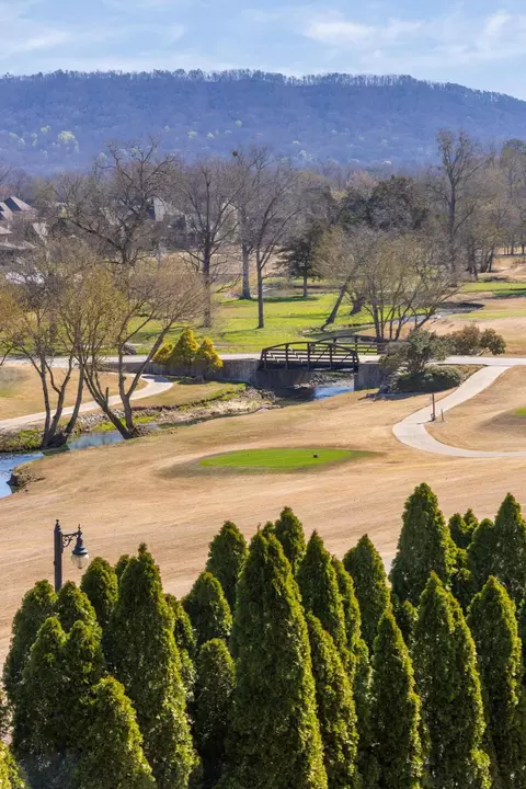 7497 Splendid View Dr, Ooltewah, TN 37363 photo 41