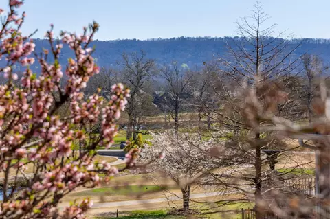 7497 Splendid View Dr, Ooltewah, TN 37363 photo 59