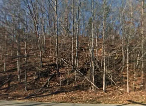 0 Shiloh Rd, Decatur, TN 37322