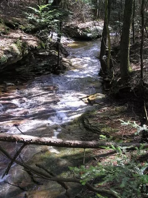 9 Red Rock Canyon Rd, Graysville, TN 37338