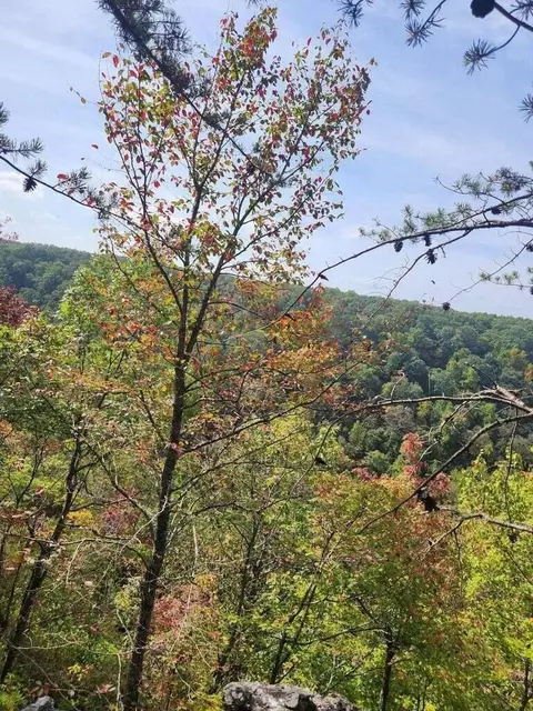 0 Old Falls Trl, Tracy City, TN 37387