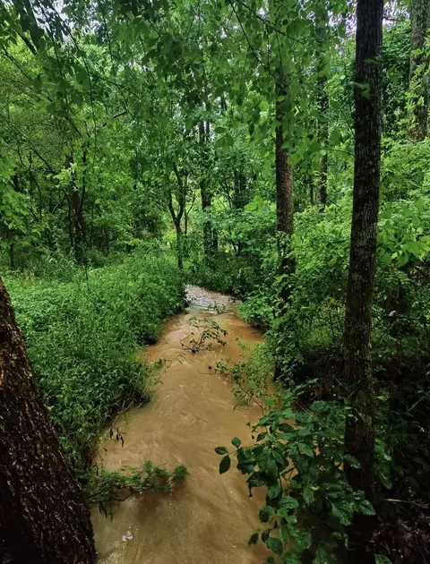 5000 Red Clay Rd, Cohutta, GA 30710 photo 53