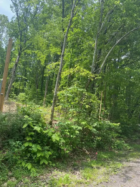 0 Skyline Dr, Dunlap, TN 37327 photo 3