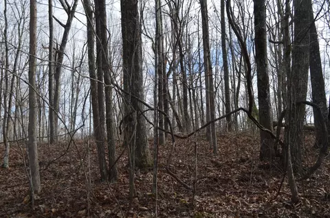 0 Skyline Dr, Dunlap, TN 37327 photo 6