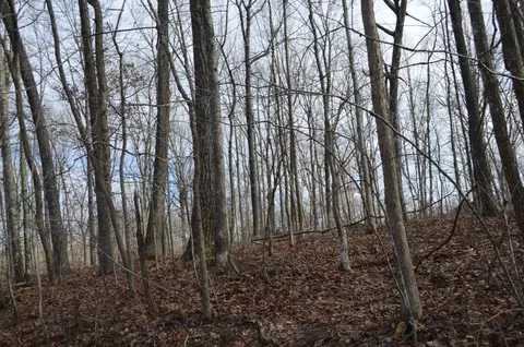 0 Skyline Dr, Dunlap, TN 37327 photo 7