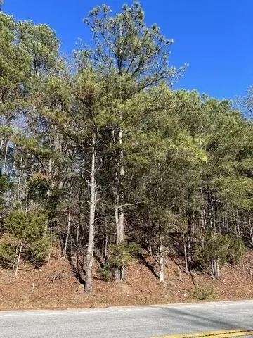 5 NW Lower River Rd, Charleston, TN 37310